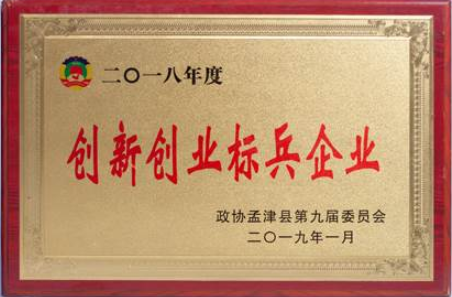 創(chuàng  )新創(chuàng  )業(yè)標兵企業(yè)